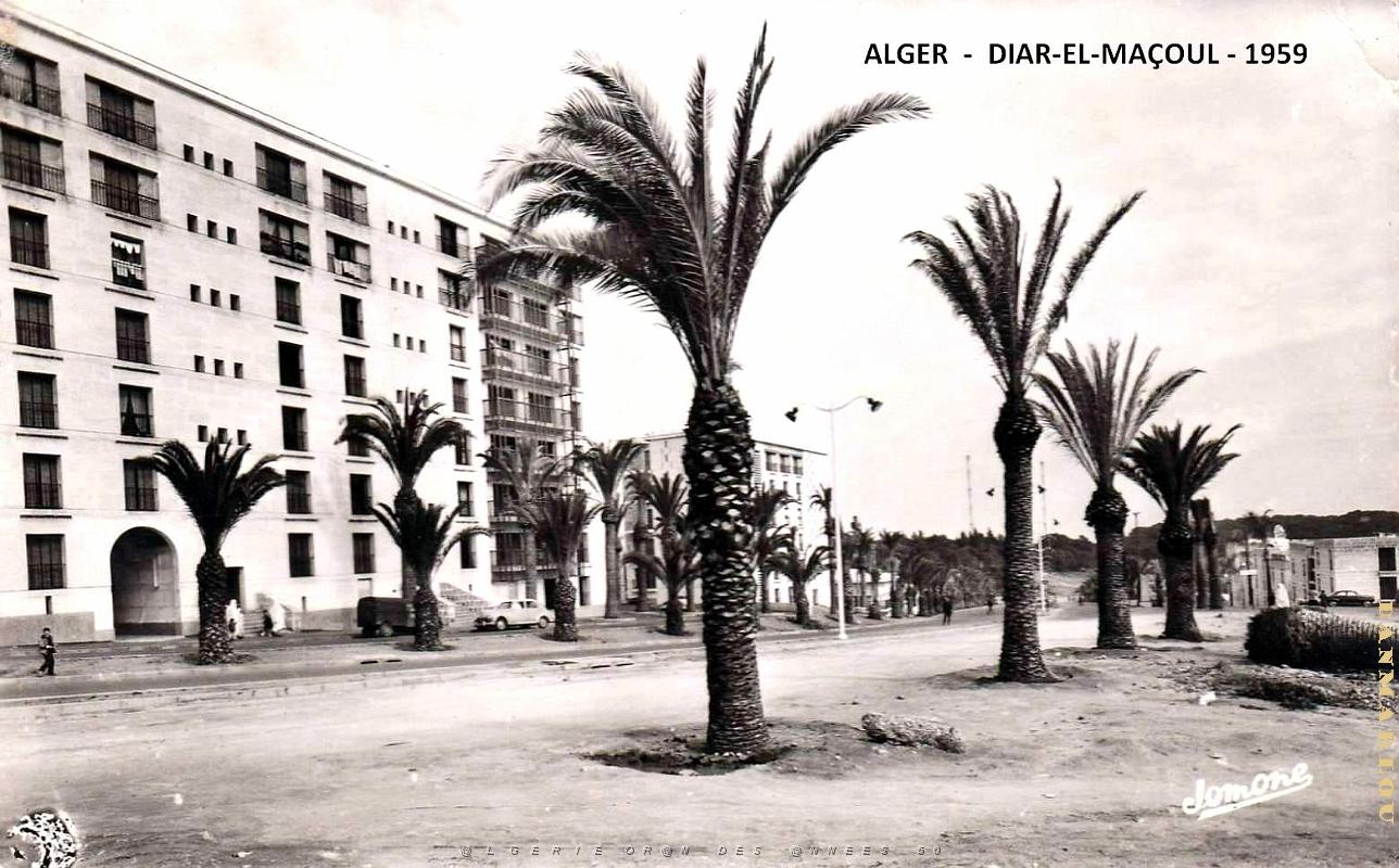 Alger - Diar-el-Mahcoul - 1959.jpg